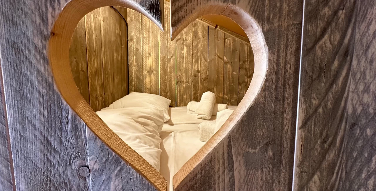 Mobile Home Interior